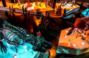 Things to do in Houston