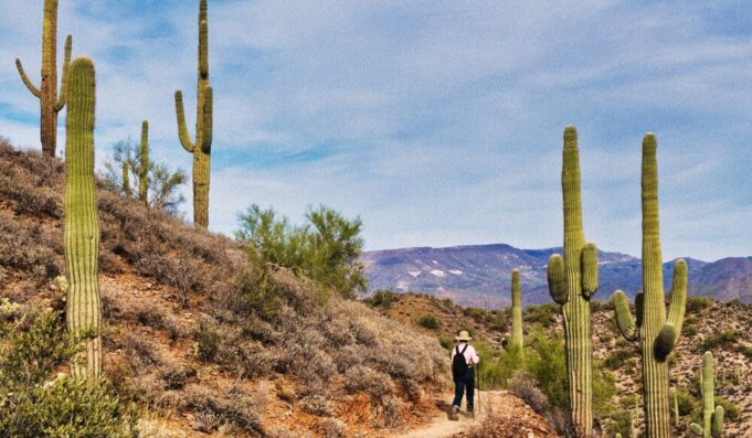 Things to do in Phoenix